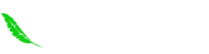 News Axis 360